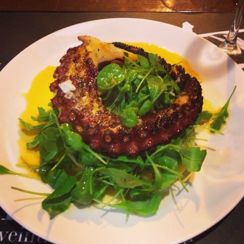 Grilled squid on a rocket bed