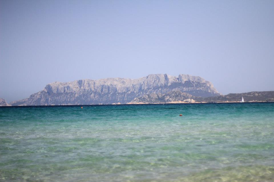 530866_10151013106266711_603423415_n