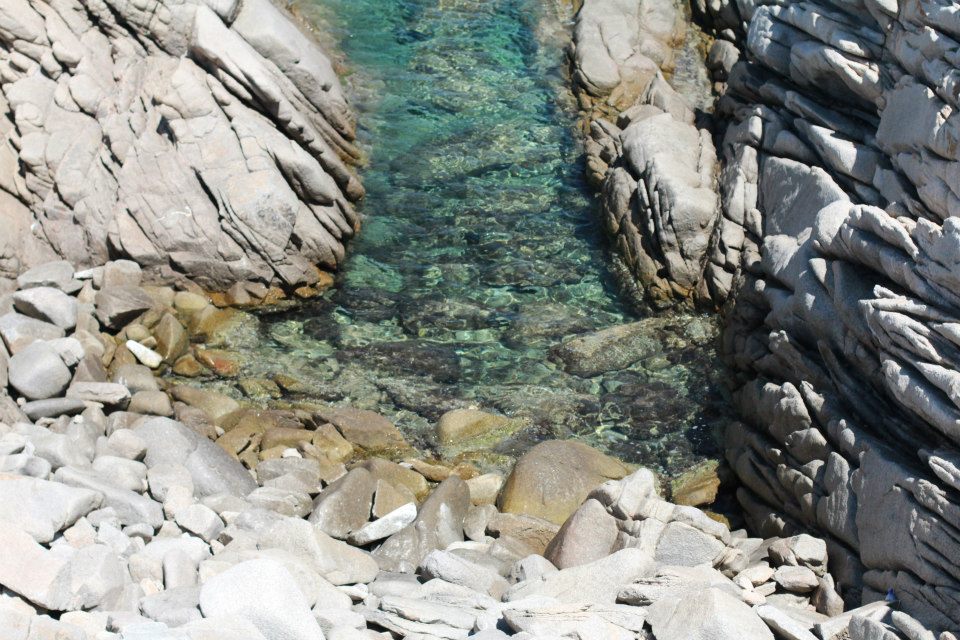 538460_10151013142486711_1604320079_n