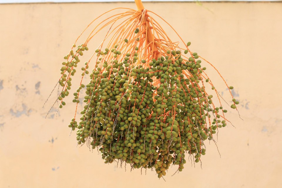 603401_10151013132586711_1352644011_n