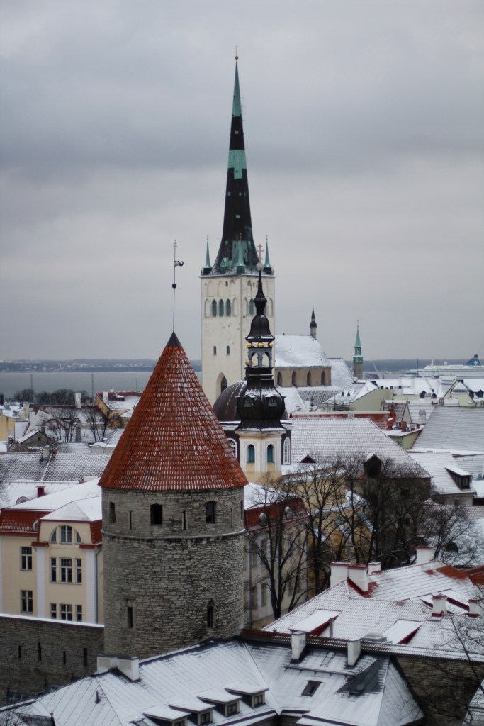 _MG_5282