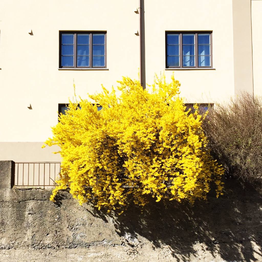 11170289_10152795243896711_326205275416973610_o