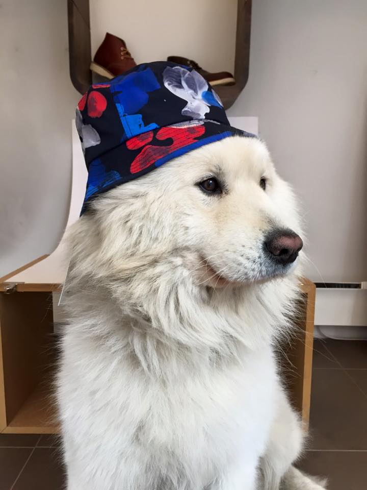 10404391_10152809827196711_2095342864537469130_n