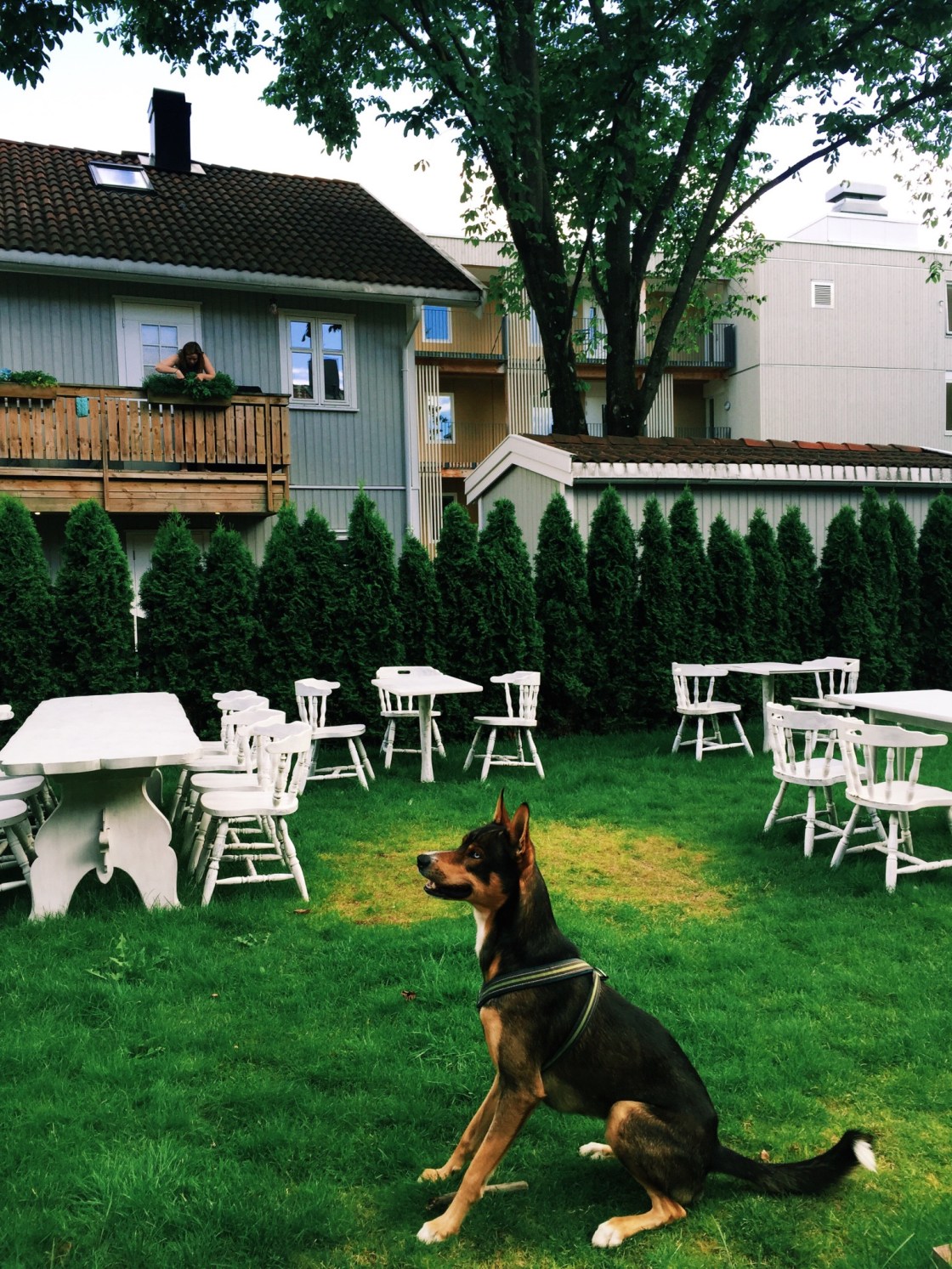 11837078_10153024655251711_2067108850_o