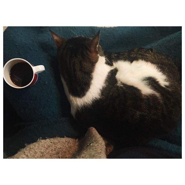 12446030_927418154000642_316509078_n