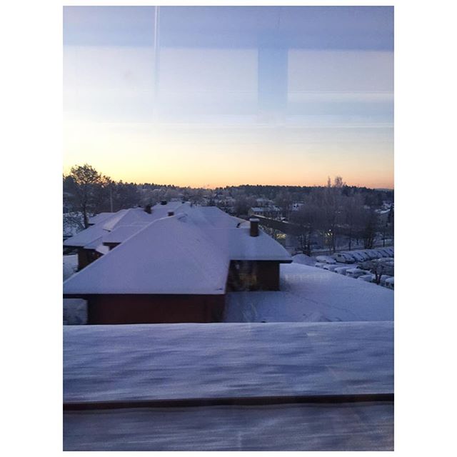 12479337_163197044049846_666722657_n