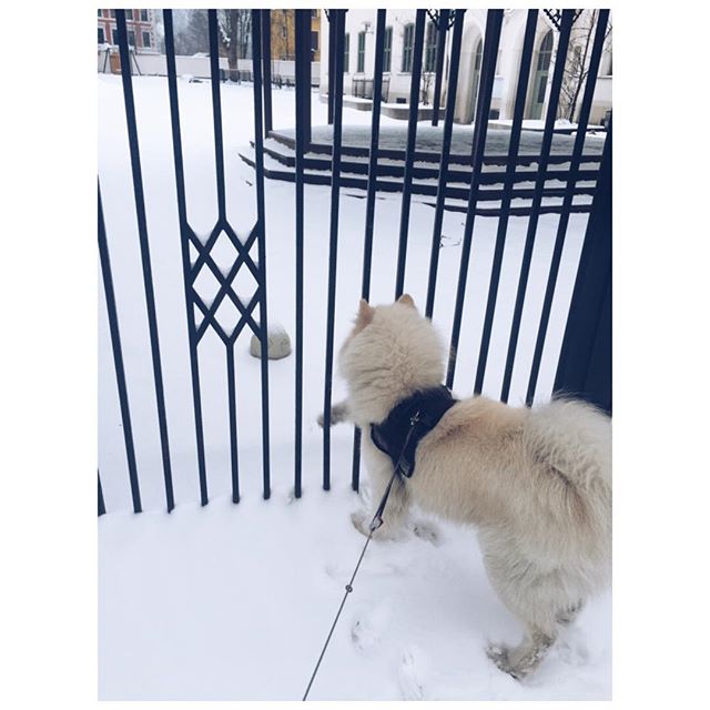 12555849_873438646088744_1361502254_n