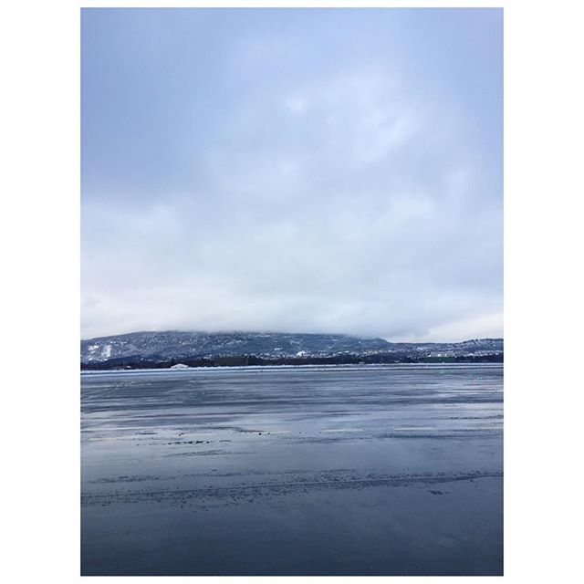 12627859_1099883786709214_1144173845_n