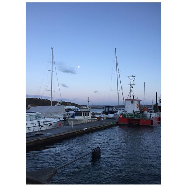 12717031_523839121074491_1089019454_n