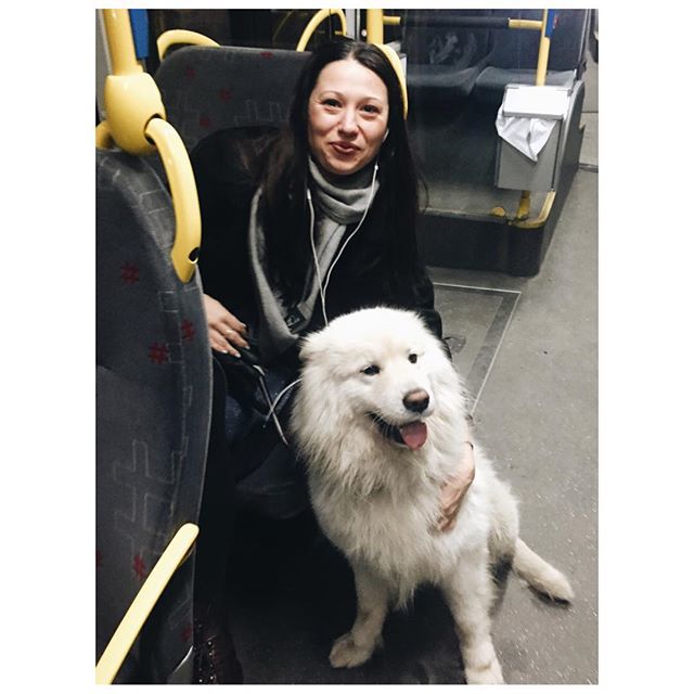 12728388_1500339673607425_1112625278_n