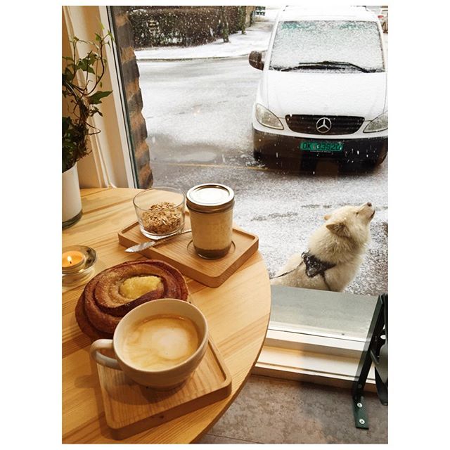 12748244_1243697322325799_1342315079_n