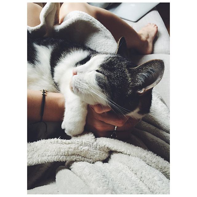 12749967_1556620304651518_1560320602_n