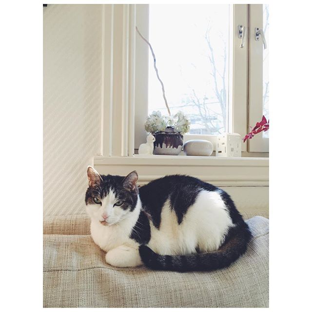 12751294_452327091642085_697015188_n-2