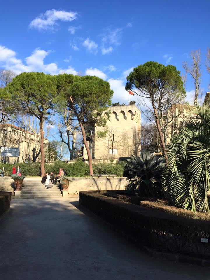 12321521_10153479618006711_6214444869948748021_n