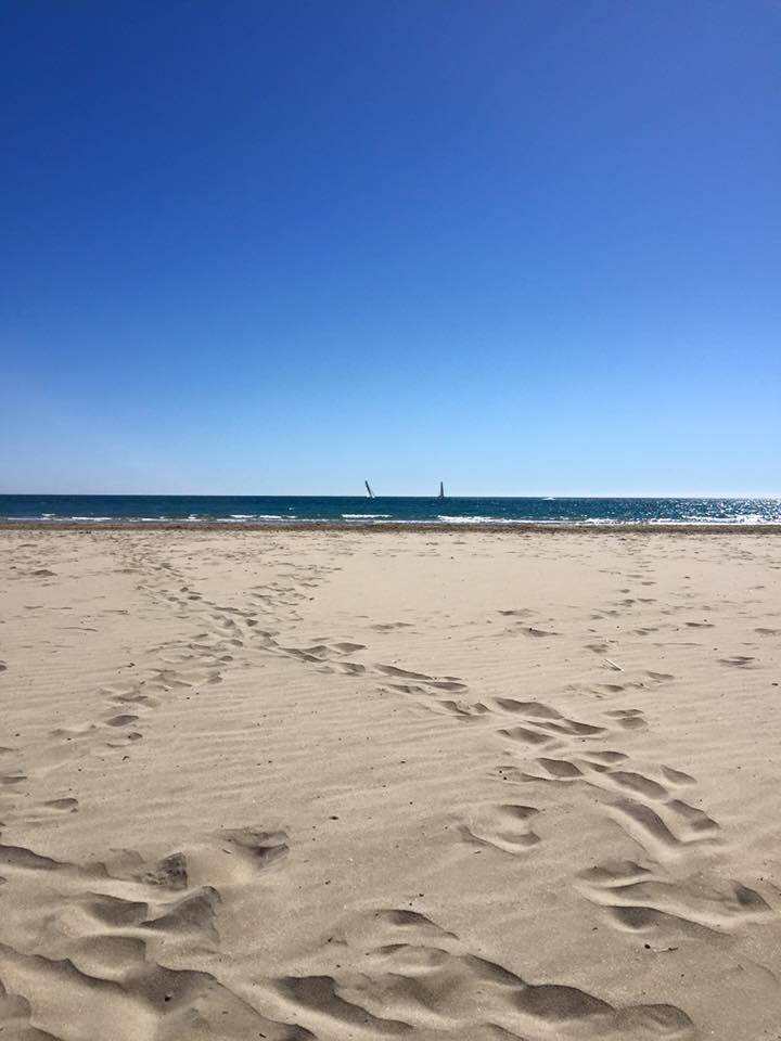 12439104_10153490117736711_2088760282362146963_n