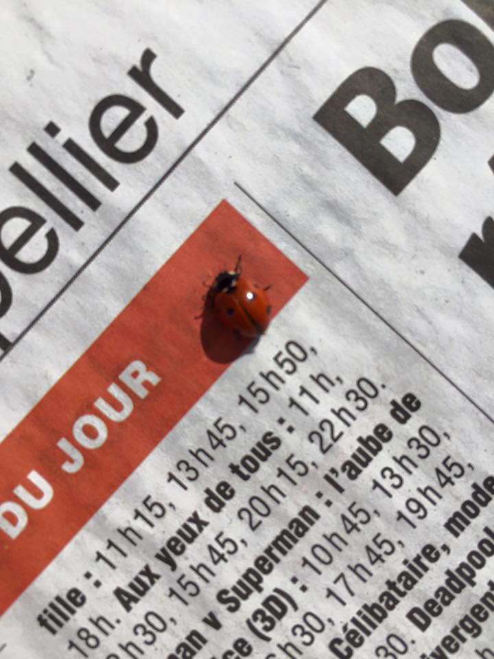 12670766_10153490117801711_5816305897334131471_n