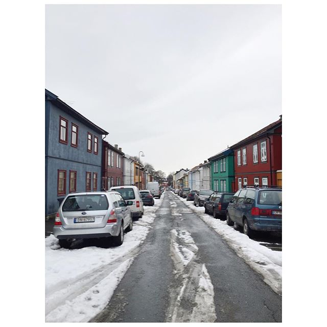 12725024_803023996493417_1873840829_n