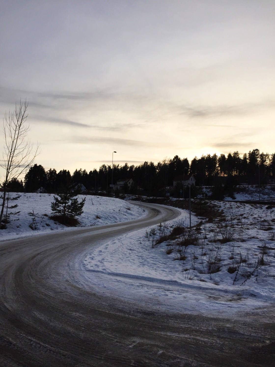 12788635_10153418545161711_1853126790_o