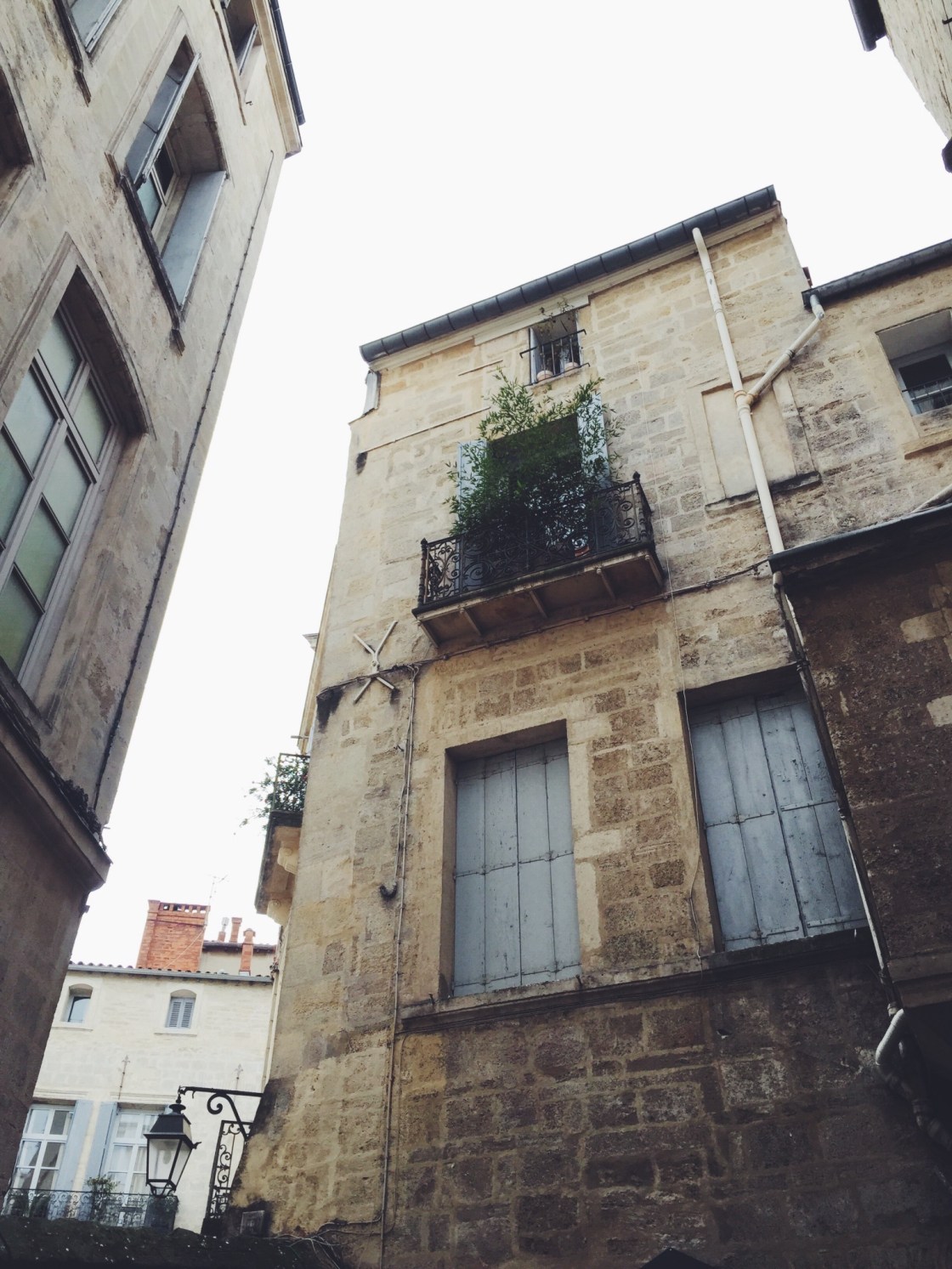 12919349_10153486479391711_553086803_o