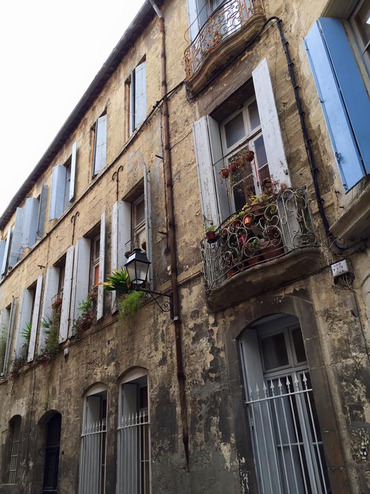 922751_10153486483331711_4061977988747539483_n