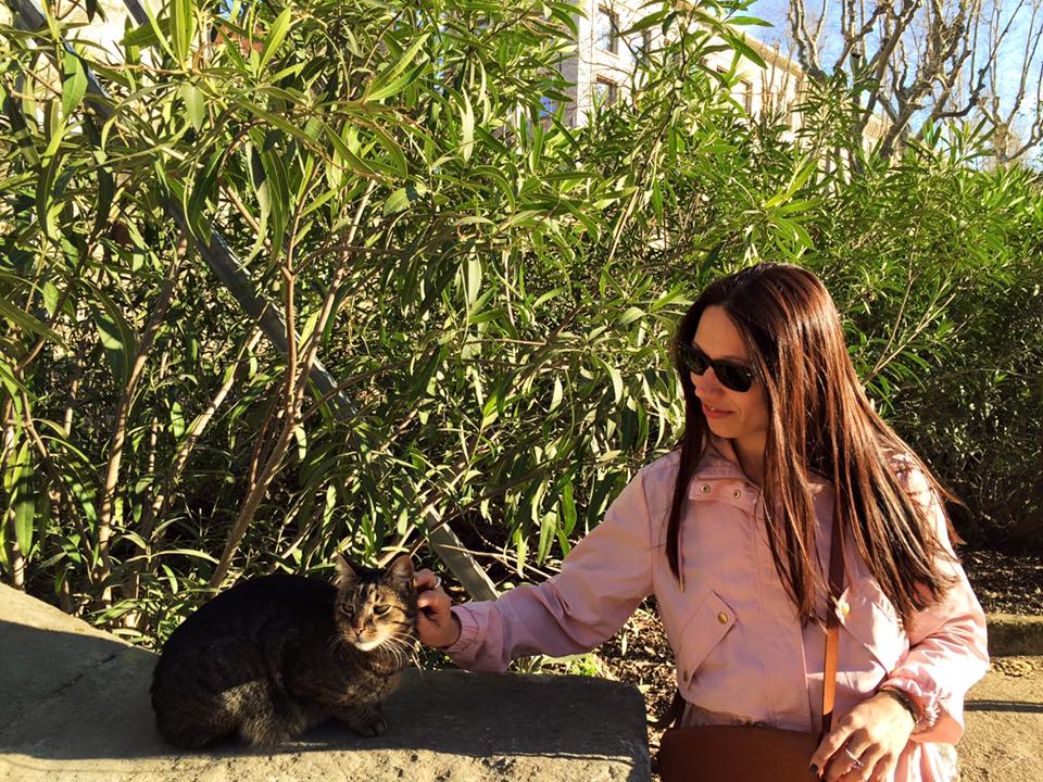 988760_10153479617116711_4335711437968410693_n