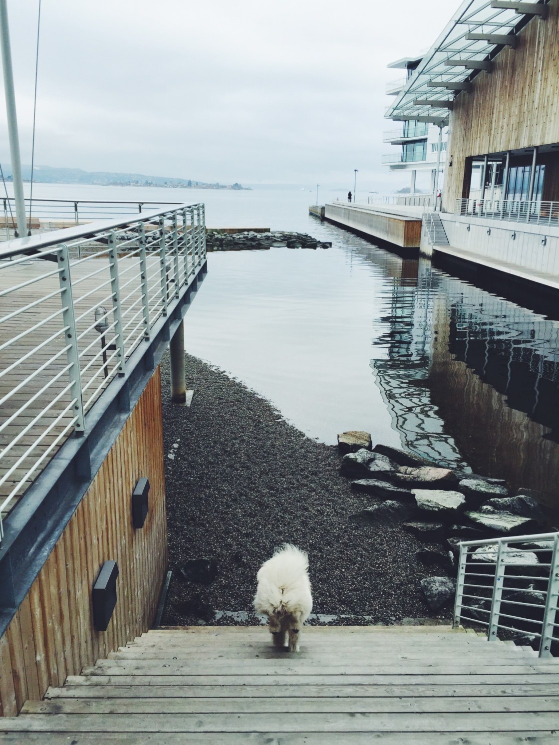 12959355_10153518743986711_1694135143_o