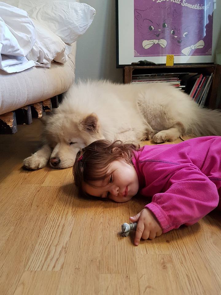 12987159_10153618655385677_6754510652917790148_n