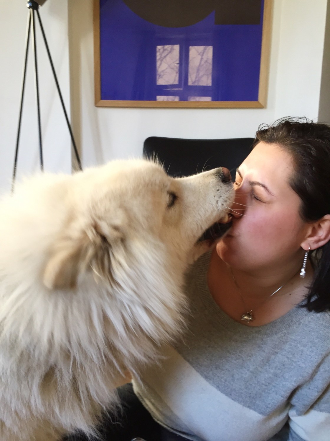 13000458_10153543803201711_1221216240_o