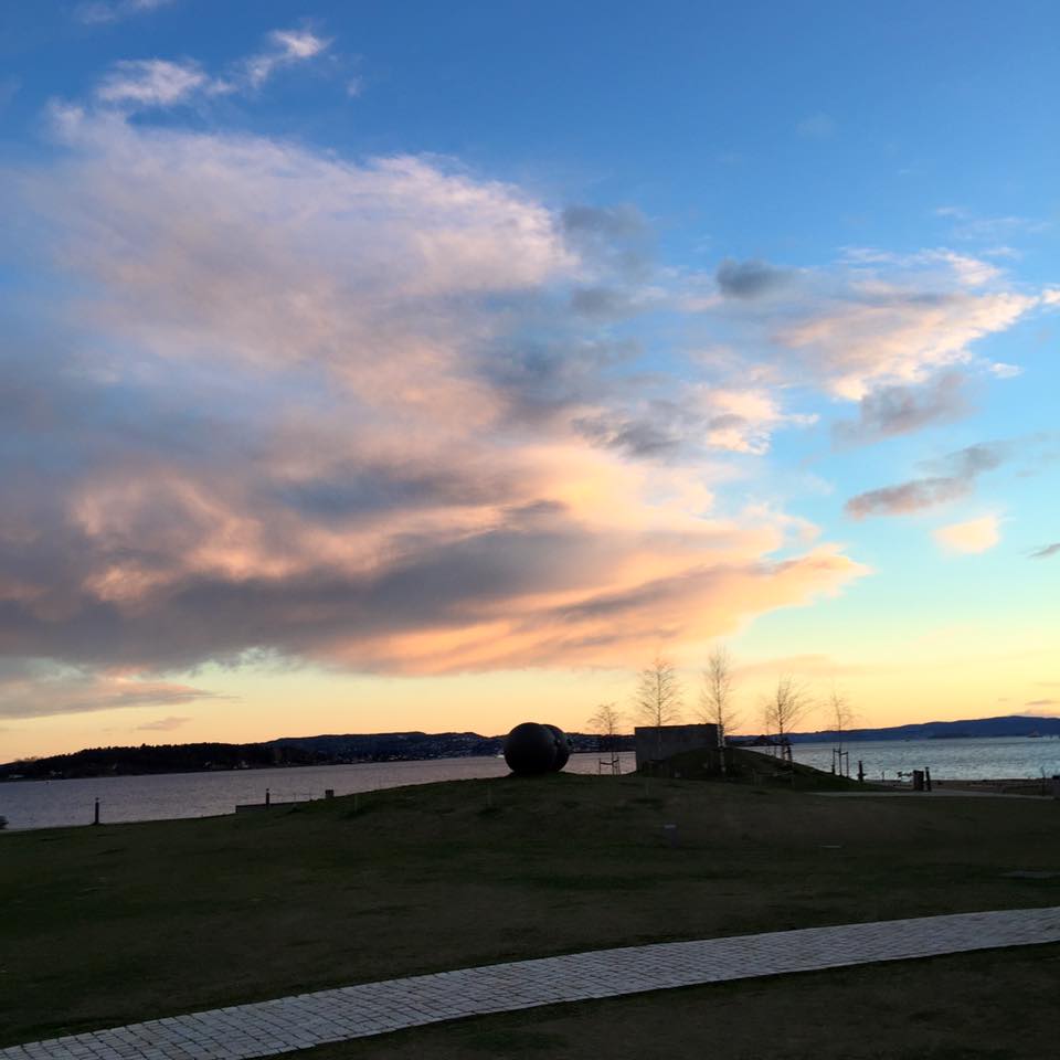 13010806_10153549755876711_8734911039407208557_n