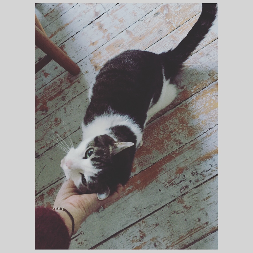 13062959_10153560639181711_929968729325853369_o