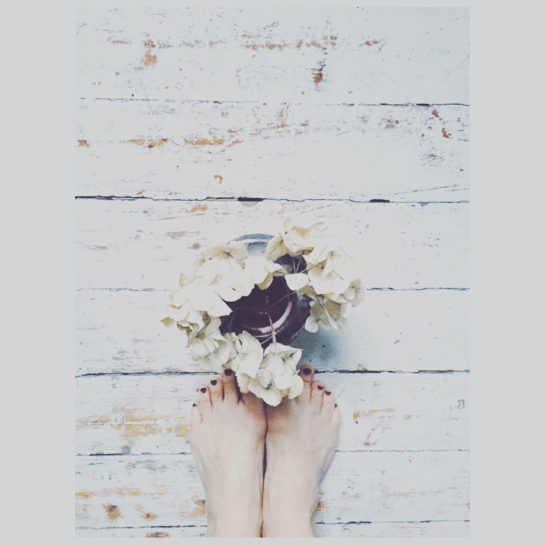 13072879_10153560639221711_916358840509796439_o