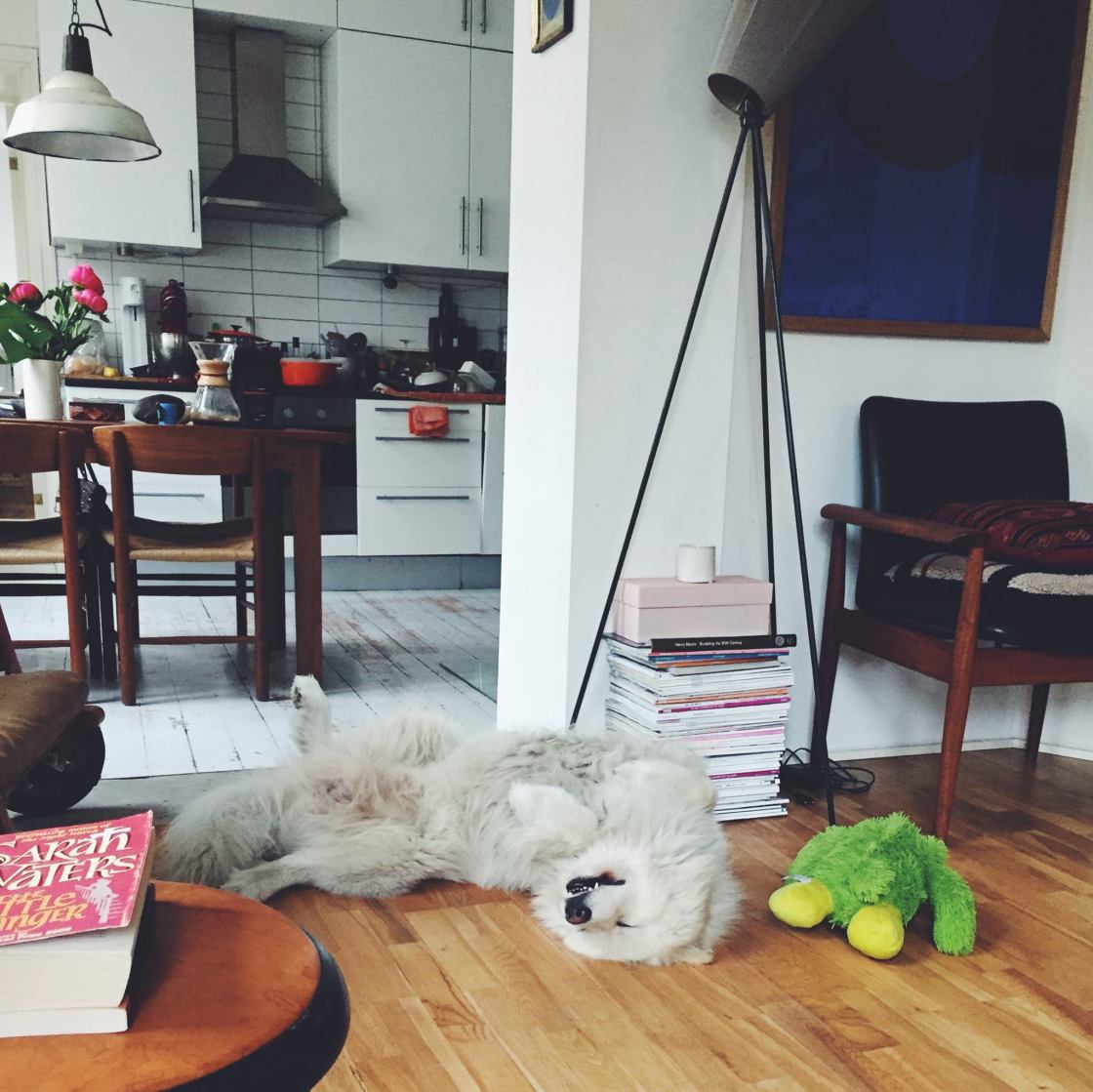 13087064_10153571729046711_8295408490766376952_o