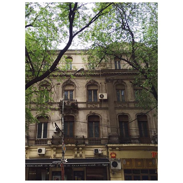 13183416_230289124008903_143832146_n