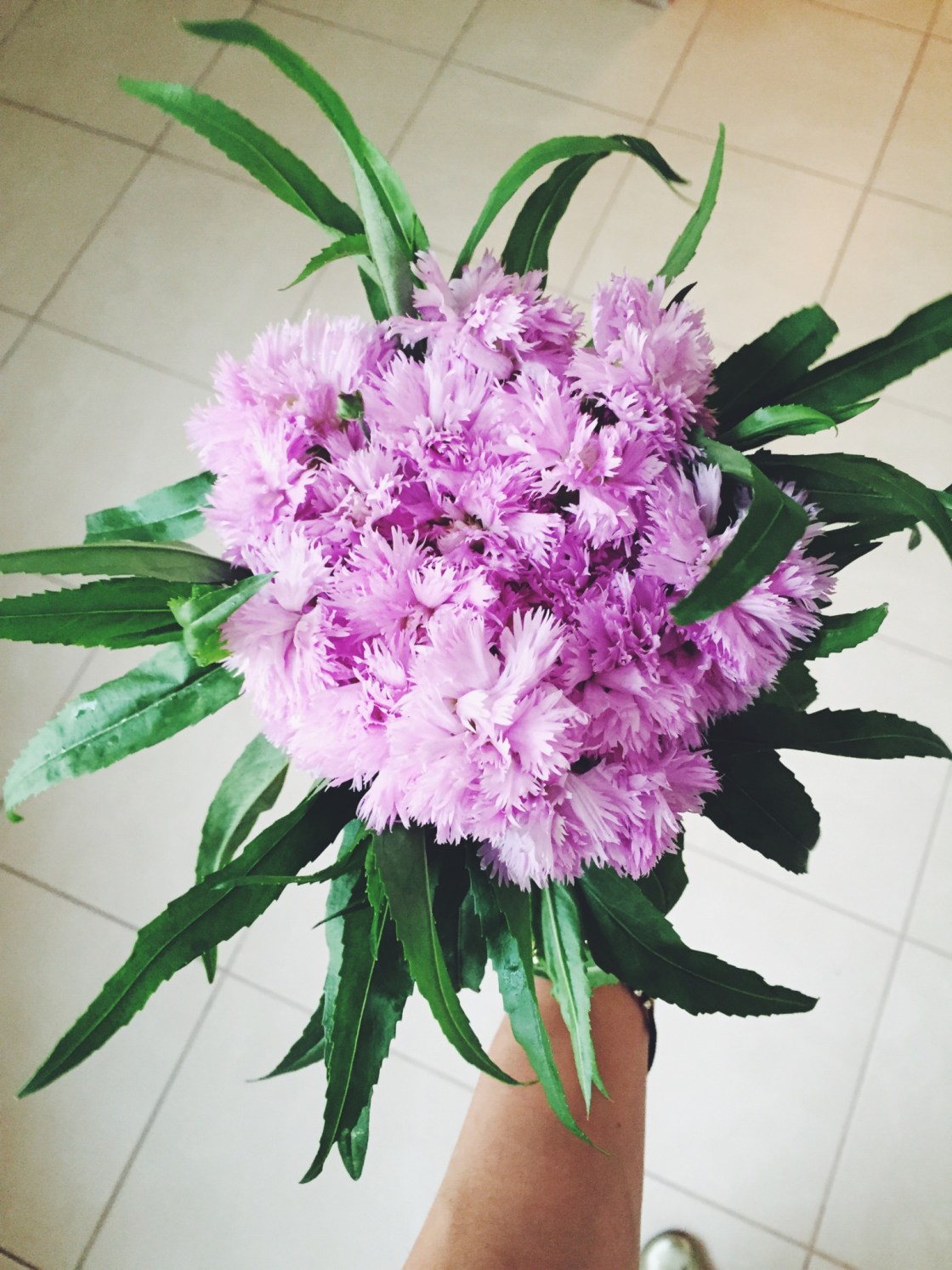 13214521_10153588633116711_493682923_o