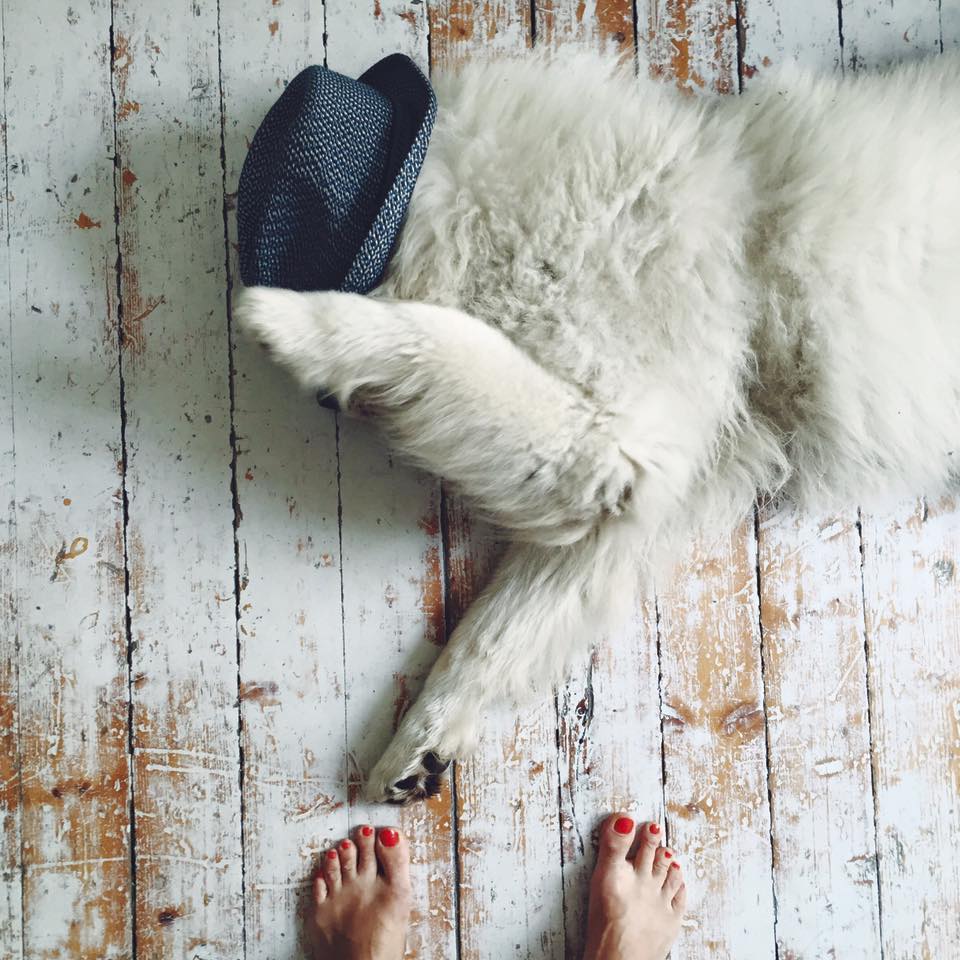 13419164_10153663494286711_688395875379096447_n