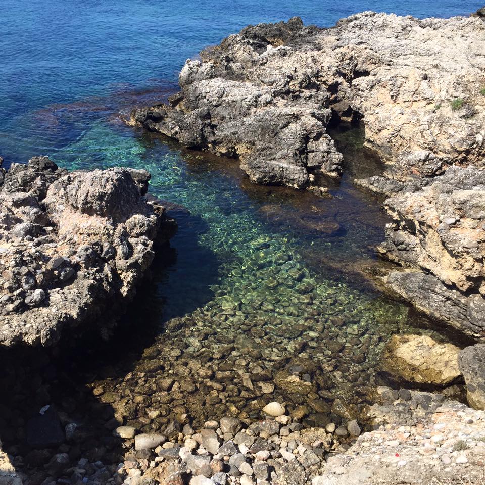 13599773_10153710764766711_8411817348922838386_n