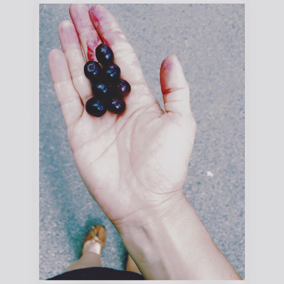 13606605_10153702585106711_9165369224515071164_n