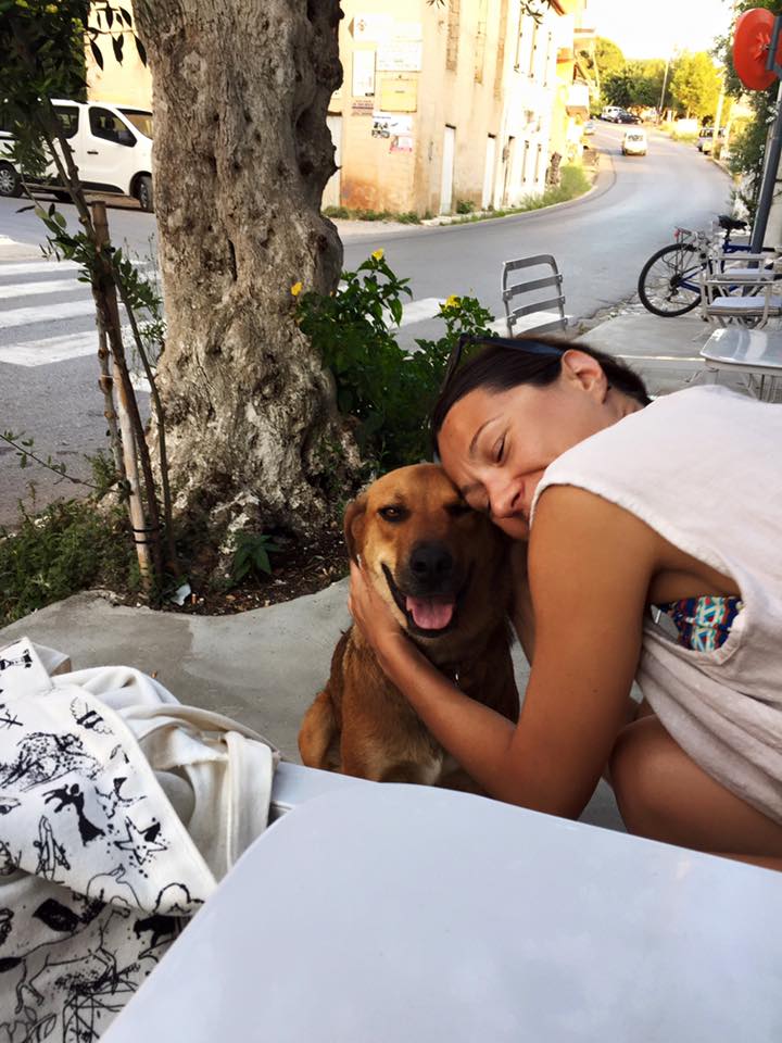 13606866_10153724424356711_7177149621285279226_n