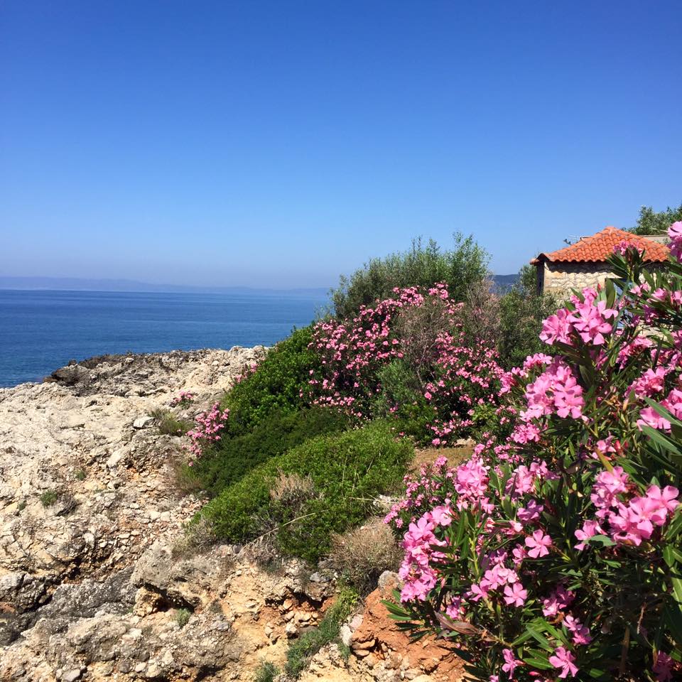 13615394_10153710764511711_4394070652224458686_n