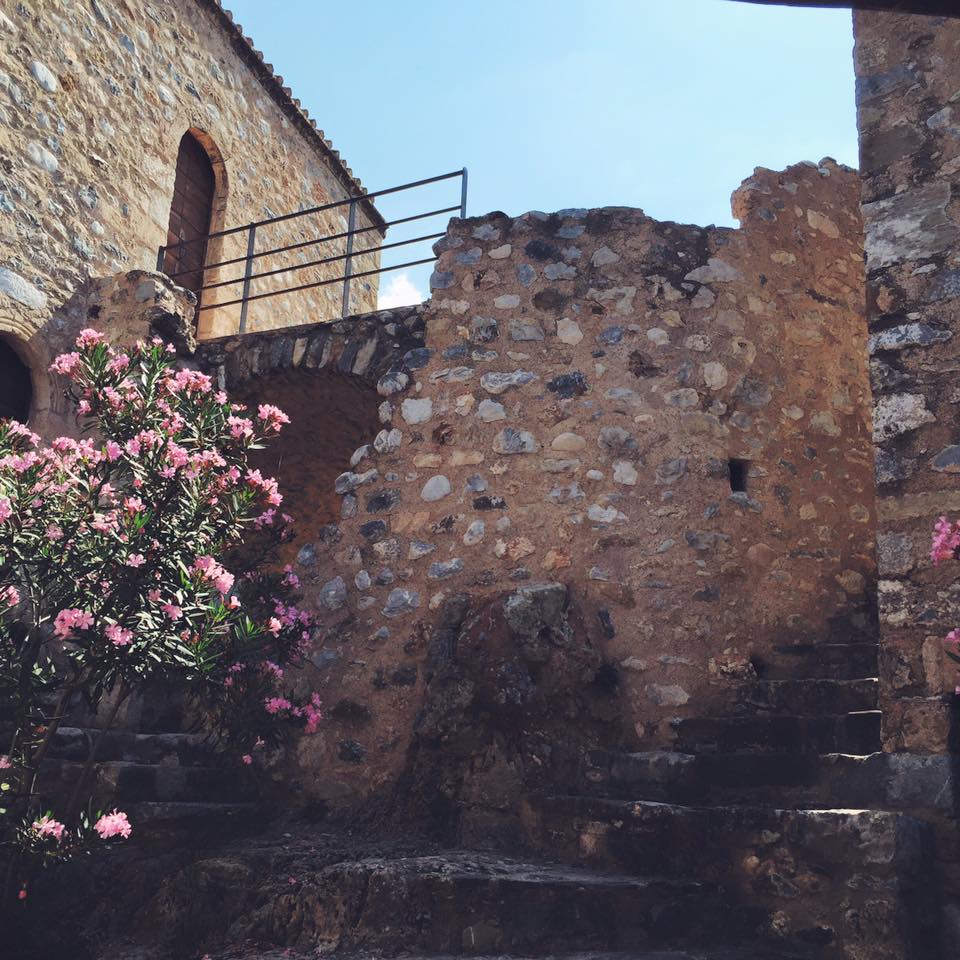 13620006_10153712881751711_7939081101605007541_n