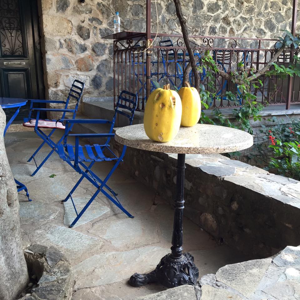 13620872_10153709126511711_872227639037488785_n