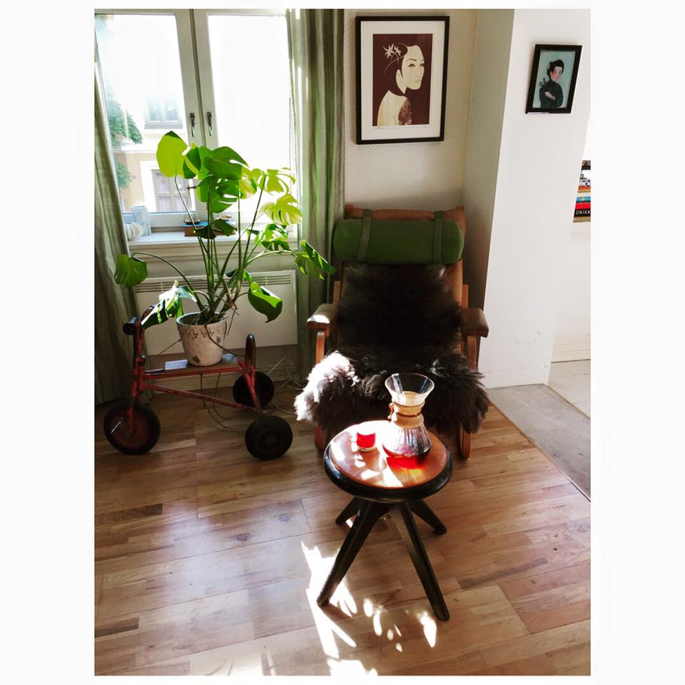 13692564_10153734021551711_4829871533429290621_n