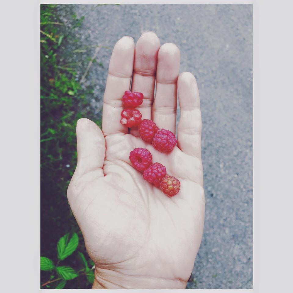 13707579_10153734021561711_7533387702332415938_n