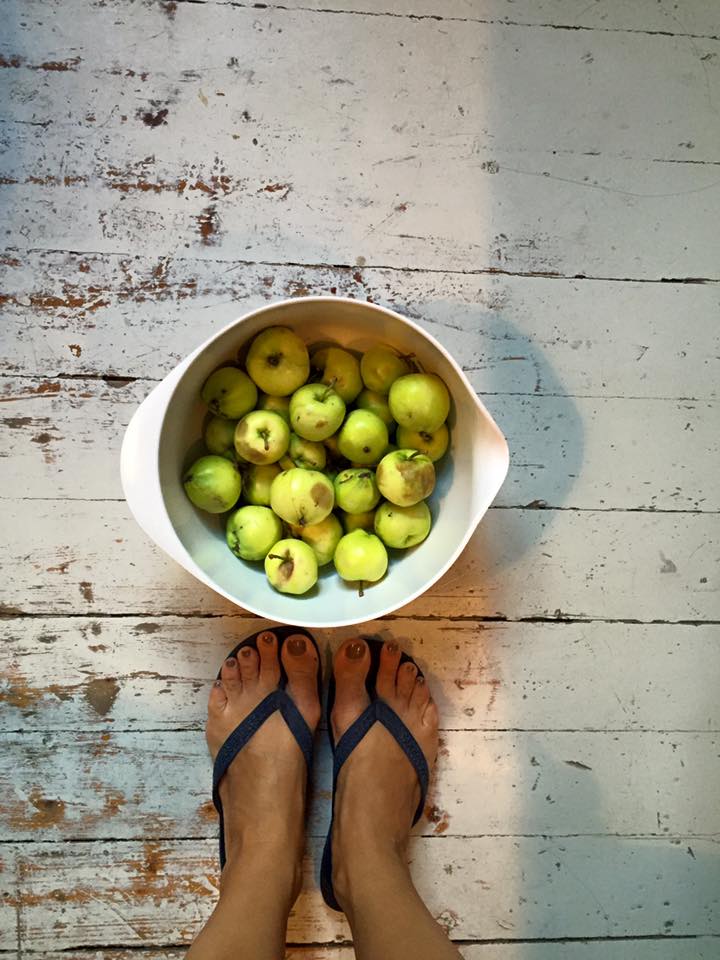 13895235_10153792900031711_273478553734612369_n