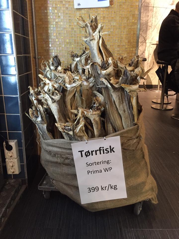 14980719_10154006400051711_2498557898586554567_n