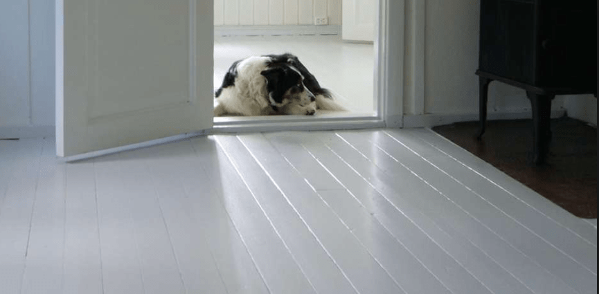 Skjermbilde 2016-11-21 12.44.29.png