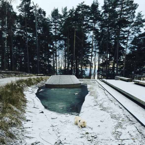 Skjermbilde 2016-12-01 12.13.19.png