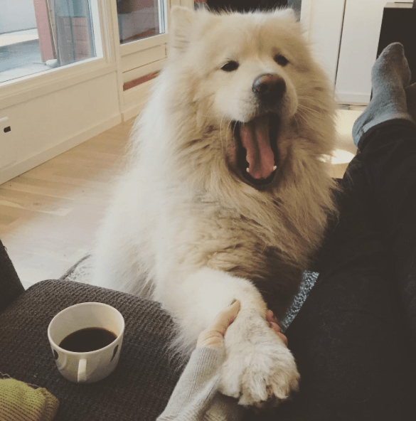 skjermbilde-2016-12-11-16-21-23