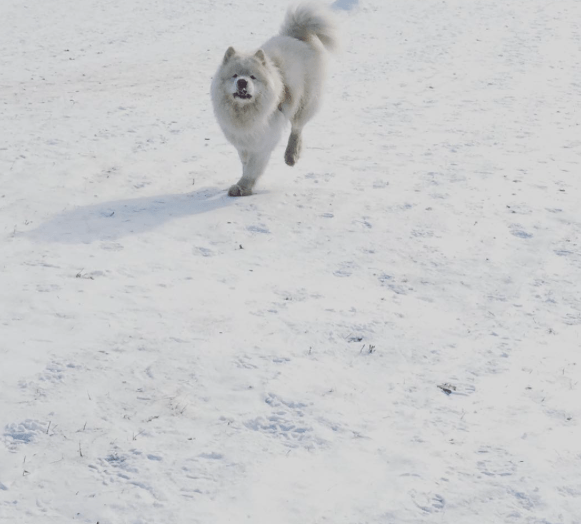 skjermbilde-2017-02-13-15-31-02