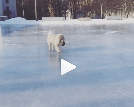 Skjermbilde 2017-02-13 15.36.32.png